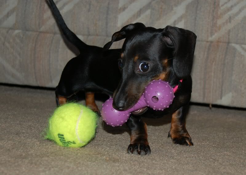 Image hosting by Photobucket